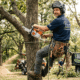 Tree Services Website Design